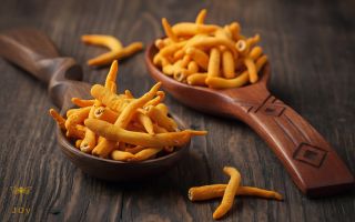 Přečtete si více ze článku Houba, která podpoří vaši imunitu