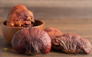 Přečtete si více ze článku Reishi – Houba moudrosti a klidu
